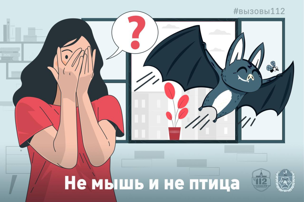 5 статья ДГОЧС.jpg 5 статья ДГОЧС.jpg
