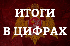 Свыше 4 тысяч государственных услуг, касающихся оборота гражданского оружия и охранной деятельности оказано гражданам и юридическим лицам столичными росгвардейцами за минувшую неделю. 
