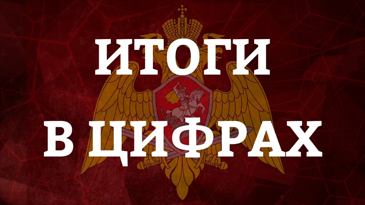 Свыше 4 тысяч государственных услуг, касающихся оборота гражданского оружия и охранной деятельности оказано гражданам и юридическим лицам столичными росгвардейцами за минувшую неделю. 