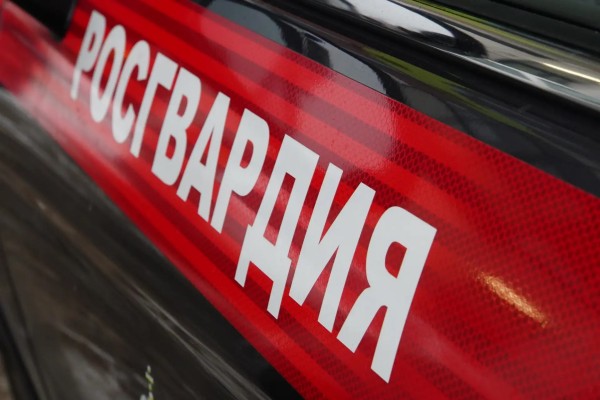 Столичные росгвардейцы задержали курьера, ударившего охранника