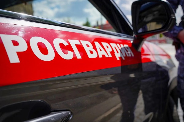 Московские росгвардейцы задержали мужчину, проникшего на территорию школы