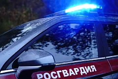 Московские росгвардейцы пресекли дебош в медицинском учреждении 