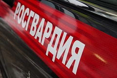 Столичные росгвардейцы задержали курьера, ударившего охранника