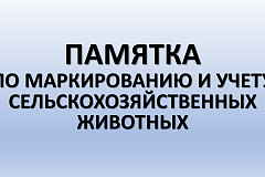 ПАМЯТКА ПО МАРКИРОВАНИЮ И УЧЕТУ СЕЛЬСКОХОЗЯЙСТВЕННЫХ ЖИВОТНЫХ