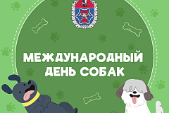 Международный День собак