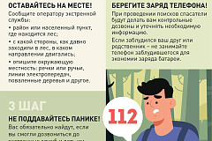 Куда ведут лесные тропы
