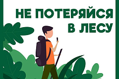 Не потеряйся: советы кинолога Пожарно-спасательного центра, как не заблудиться в лесу