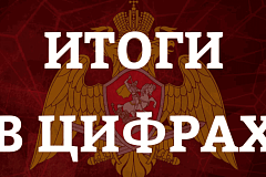 Более 2 тысяч граждан задержали по подозрению в совершении преступлений и нарушении административного законодательства столичные росгвардейцы за минувшую неделю