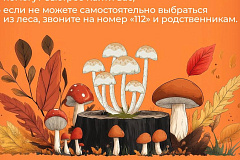 Грибной сезон