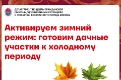 Активируем зимний режим: готовим дачные участки к холодному периоду